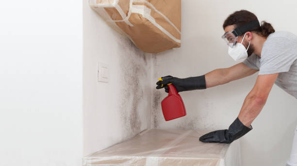 Professional Mold Remediation technician working in Temperanceville, VA