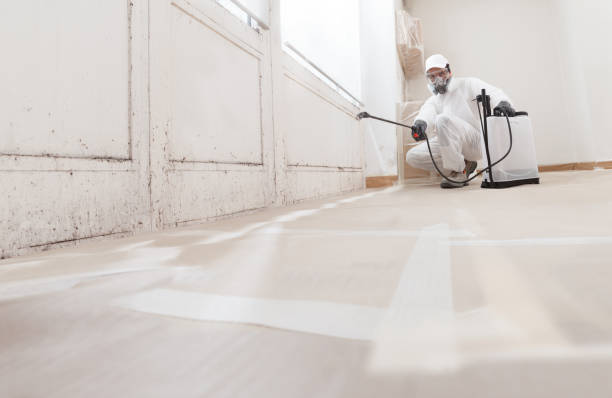 24/7 Emergency Mold Remediation experts in Temperanceville, VA